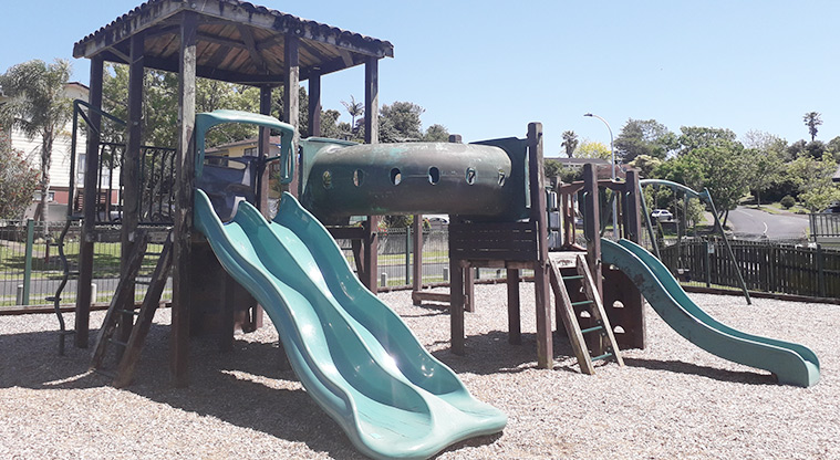 Kohuora / Lendenfield Reserve - Double play towers connected by a green tunnel, and with three slides.
