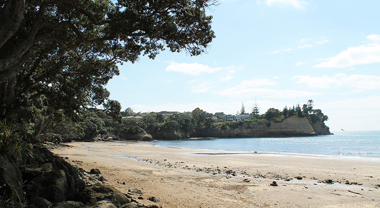 Little Manly Beach Reserve - Section of the beach. Photo credit: M Loubser.