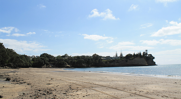 Little Manly Beach Reserve - Section of the beach. Photo credit: M Loubser.