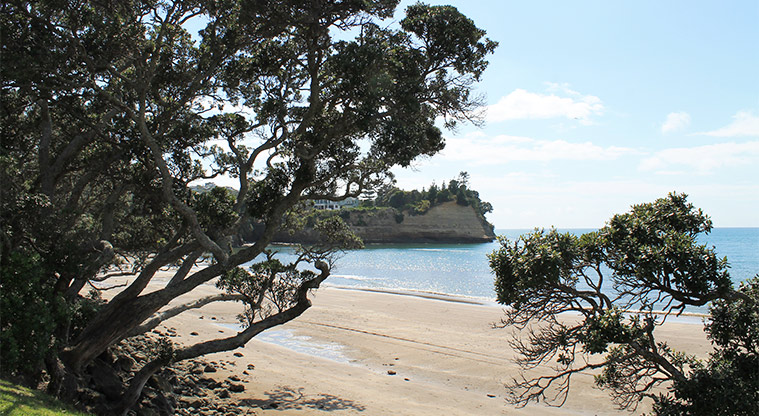 Little Manly Beach Reserve - Looking through the trees at a section of the beach. Photo credit: M Loubser.