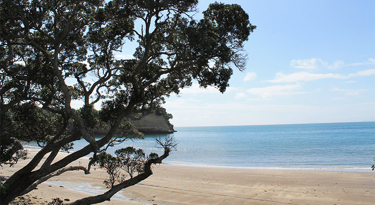Little Manly Beach Reserve - Section of the beach. Photo credit: M Loubser.