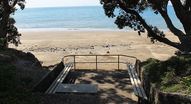 Little Manly Beach Reserve - A group of park benches by the beach. Photo credit: M Loubser.