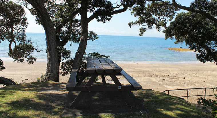Little Manly Beach Reserve - Picnic table overlooking the beach. Photo credit: M Loubser.