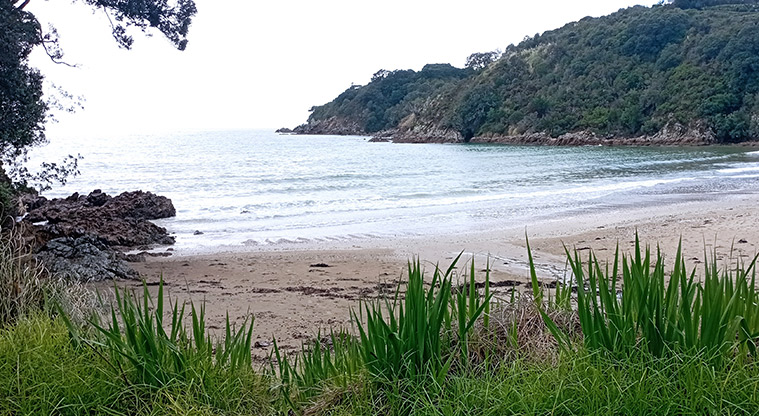 Little Oneroa Reserve - The beach and looking out over Oneroa Bay. Photo credit: K Sumner.