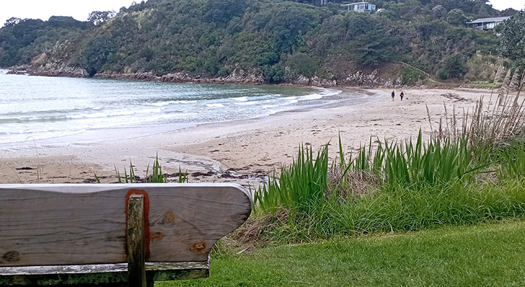 Little Oneroa Reserve - Seat with a view over the beach. Photo credit: K Sumner.