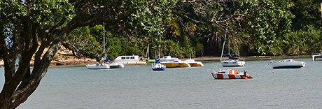 Little Shoal Bay Reserve