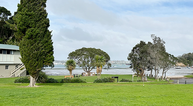 Wai Manawa / Little Shoal Bay Reserve - View across part of the reserve with Little Shoal Bay and the harbour bridge in the background. Photo credit: S Hulse.