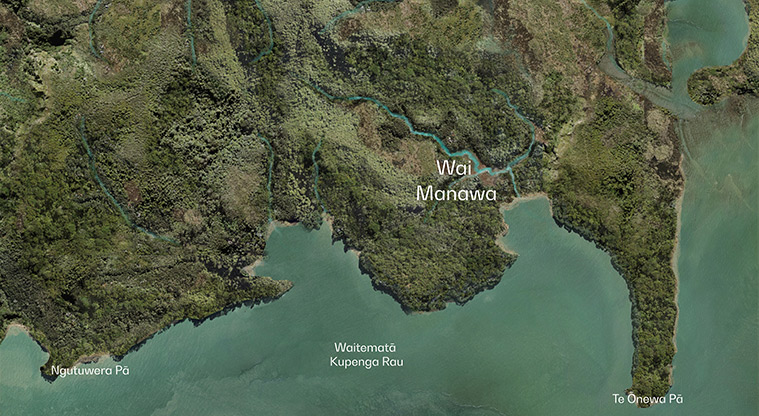Wai Manawa / Little Shoal Bay Reserve - Aerial map of how the area may have looked before European arrival.