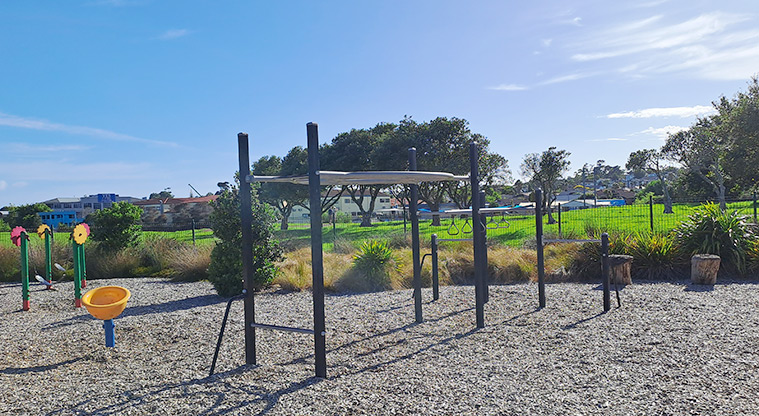 Lloyd Elsmore Park - Standalone monkey bars with spinning toys in the background. Photo credit: S Hulse.
