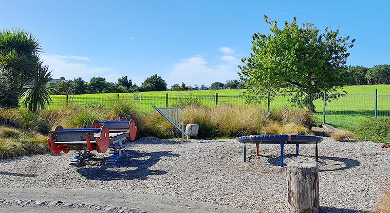 Lloyd Elsmore Park - Large rocker toy, spinning disc and tree stumps. Photo credit: S Hulse.