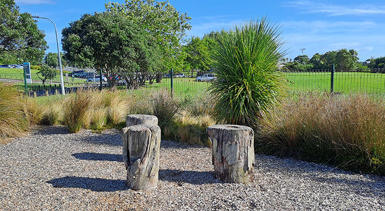 Lloyd Elsmore Park - Two tree stumps for climbing on. Photo credit: S Hulse.