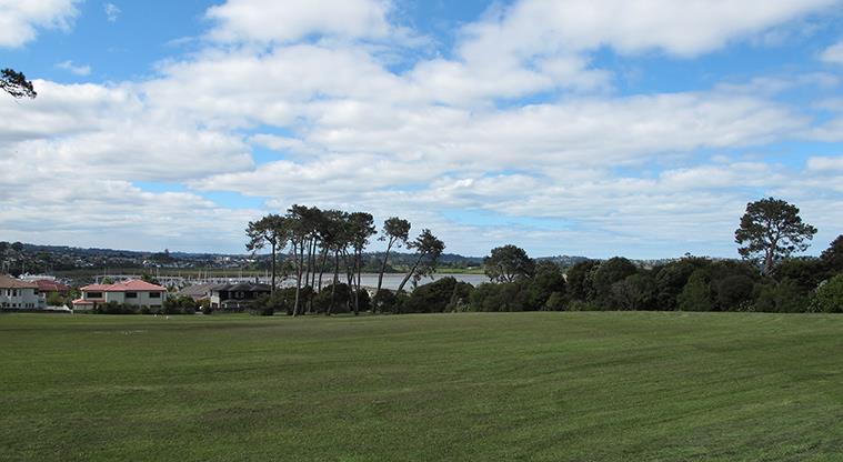 Luckens Reserve - Large open grassed space with trees and houses in the background.