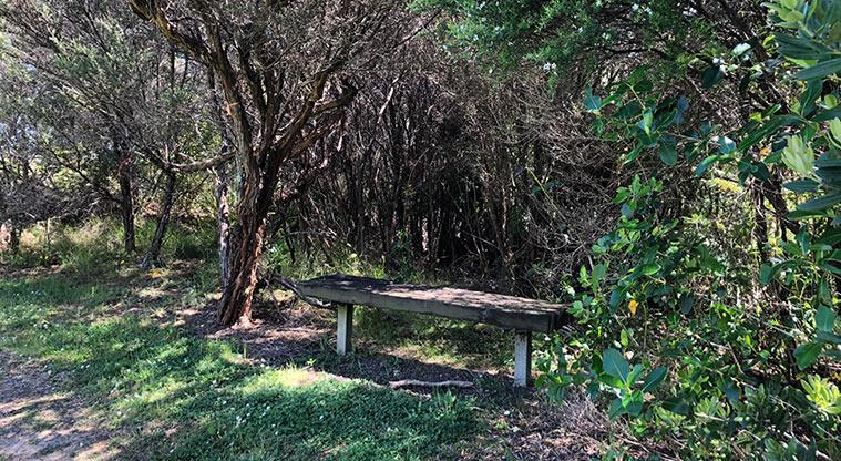 Lynfield Cove Reserve - Place to sit in the shade. 
