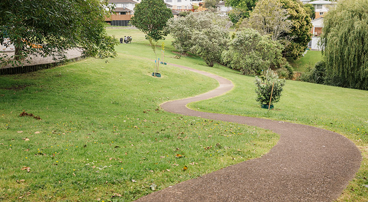 Wairaki / Lynfield Reserve - Path through a section of the park with open grassed space and trees on both sides. Photo credit: J Farnworth.