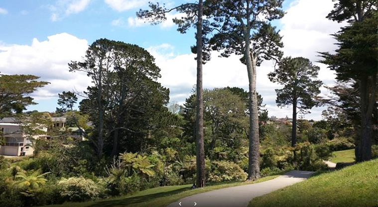 Wairaki / Lynfield Reserve - Path through a section of the park with open grassed space and trees.