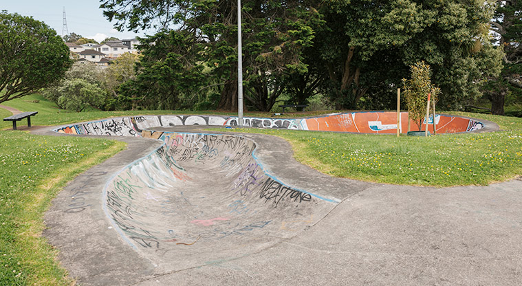 Wairaki / Lynfield Reserve - One of the two skate bowls at this reserve. Photo credit: J Farnworth.