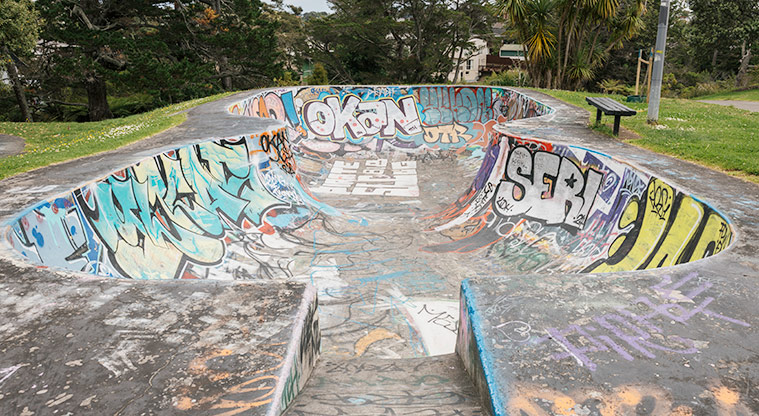 Wairaki / Lynfield Reserve - One of the two skate bowls at this reserve. Photo credit: J Farnworth.
