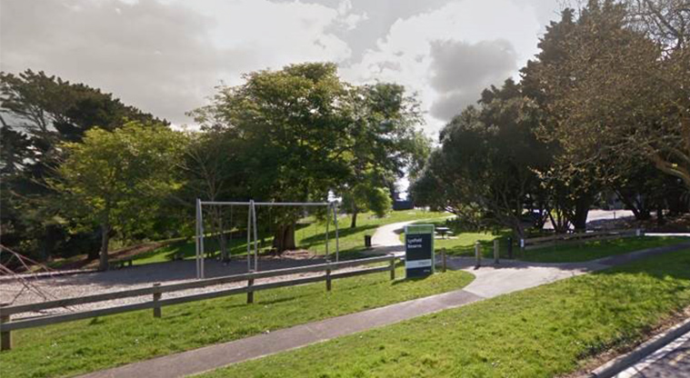 Wairaki / Lynfield Reserve - Entrance to the park and playground on The Avenue.