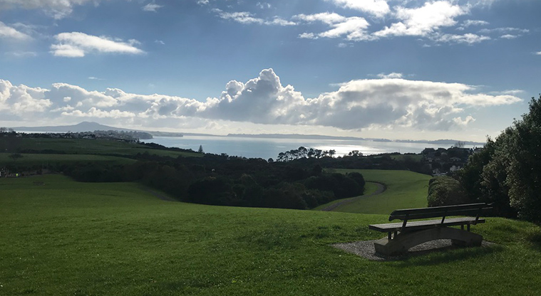 Macleans Park - Park bench with views over the park and the Hauraki Gulf in the background.