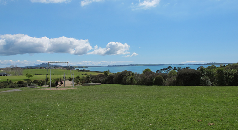 Macleans Park - Open grassed area with a set of swings in the background.