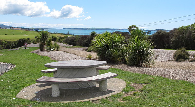 Macleans Park - Picnic table and seating with open space and views in the background.