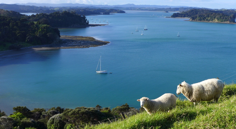 Mahurangi West Regional Park - Otuawao Bay (Mita Bay). © Michel Perrin Photography.