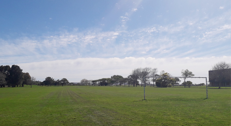 Ngā Hau Māngere / Māngere Centre Park -Sports field with trees in the background.