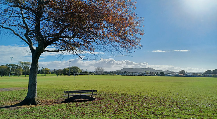 Ngā Hau Māngere / Māngere Centre Park - Large tree with a bench beside it, and the sports field in the background.