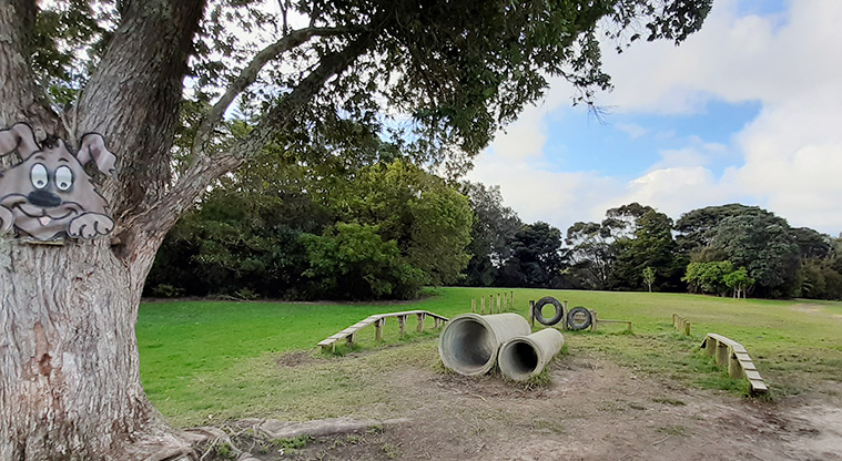 Manuka Reserve - Dog agility course by the field in the middle of the park. Photo credit: S Hulse.