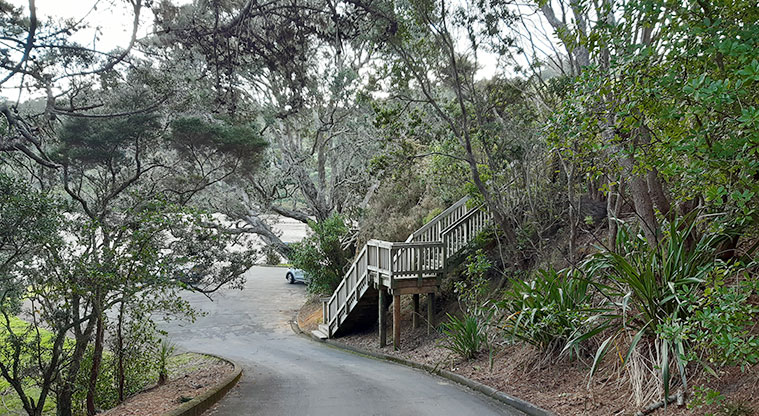 Manuka Reserve - Road down to the car park and the waters edge. Photo credit: S Hulse.