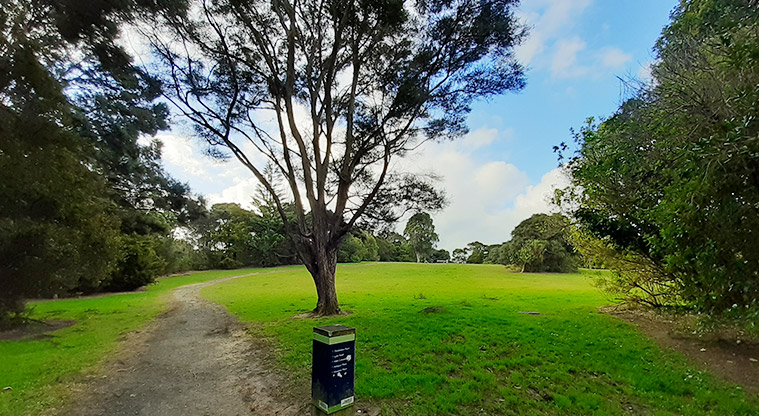 Manuka Reserve - Section of the track to the middle of the park. Photo credit: S Hulse.