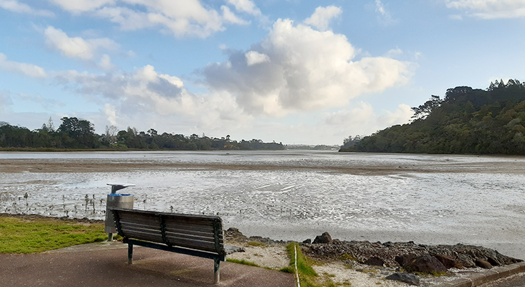 Manuka Reserve - Seat overlooking the mudflats. Photo credit: S Hulse.