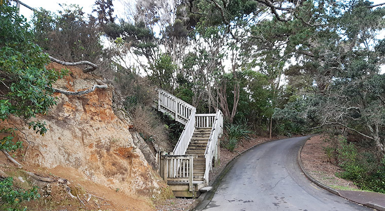 Manuka Reserve - Steps from the road by the car park up to the playground. Photo credit: S Hulse.