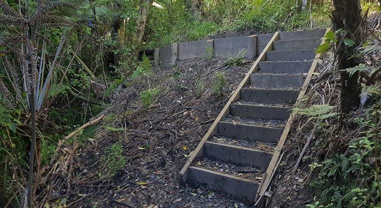 Manukau Domain - One of the many sets of steps.