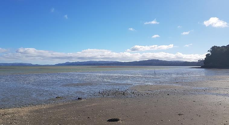 Manukau Domain - Looking across to the Manukau Heads.
