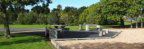 Manutewhau Reserve