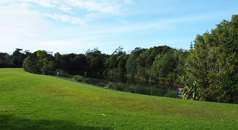Mānutewhau / Manutewhau Reserve - Open grass area with a fence and the stream in the background. Photo credit: Tracey Hodder.