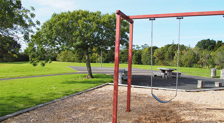 Mānutewhau / Manutewhau Reserve - Part of the swing set with a picnic table, grassed area and trees in the background. Photo credit: Tracey Hodder.