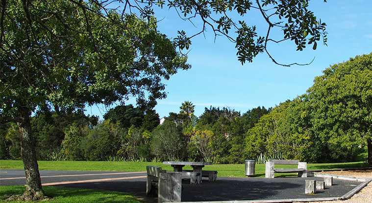 Mānutewhau / Manutewhau Reserve - Picnic table and seating with open space and trees in the background. Photo credit: Tracey Hodder.