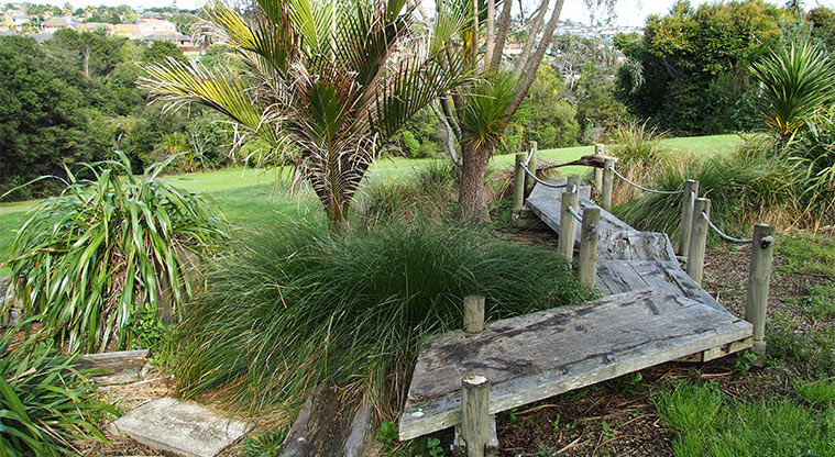 Mānutewhau / Manutewhau Walk - Stepping boards around some trees near the Oreil Avenue entrance. Photo credit: Tracey Hodder.