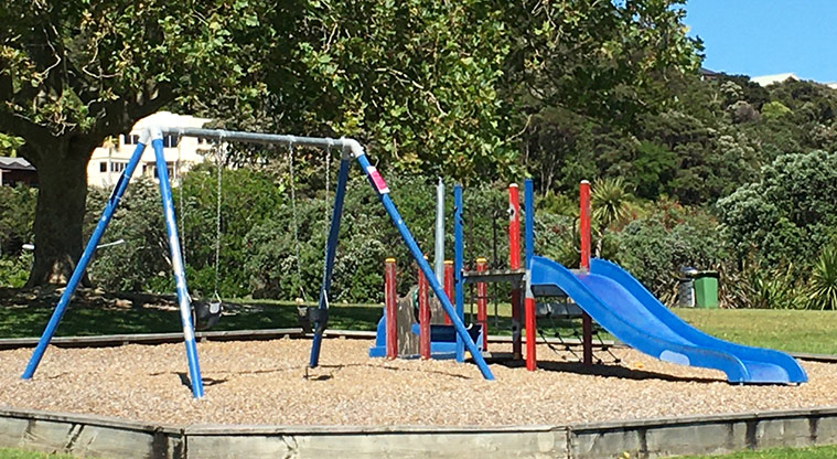 Maraetai Park - Preschool playground with a set of two swings, a climbing net and wide slide. Photo credit: S Hulse.
