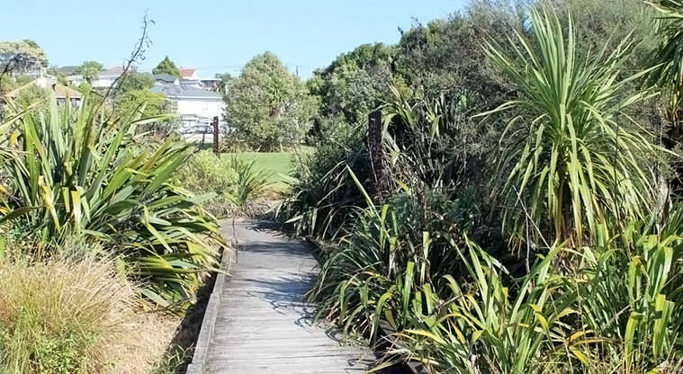 Margaret Griffen Park – a section of the raised boardwalk through the wetland connects to the playground and toilets.