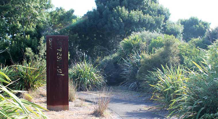 Margaret Griffen Park – a section of the path through the wetland area.