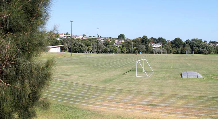 Margaret Griffen Park – the playing field closest to the end of Doug Goodwin Place.