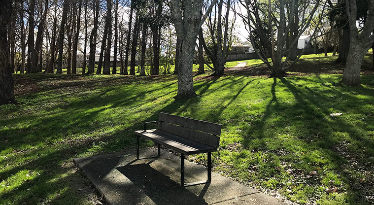 Marlborough Park - Seat under the trees.