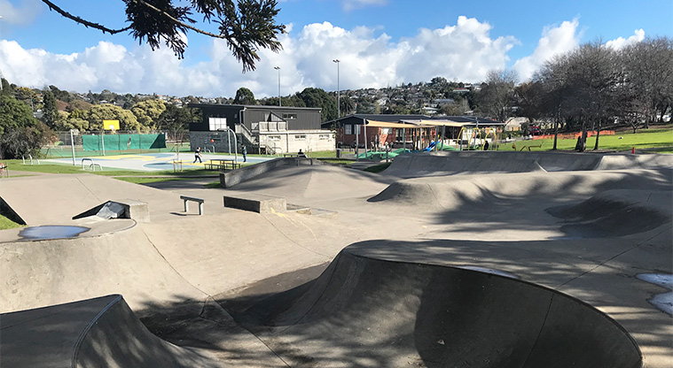 Marlborough Park - Section of the skate park with the basketball court in the background.