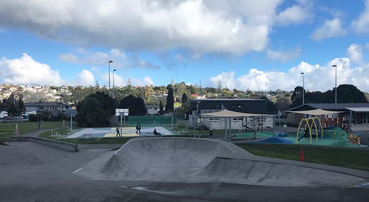 Marlborough Park - Section of the skate park with the basketball court and playground in the background.
