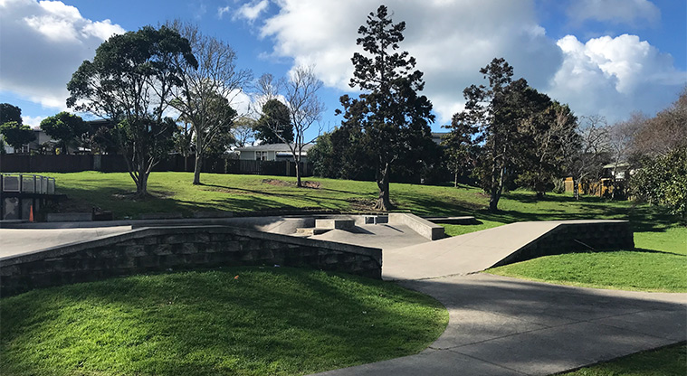 Marlborough Park - Section of the skate park with trees and open space in the background.