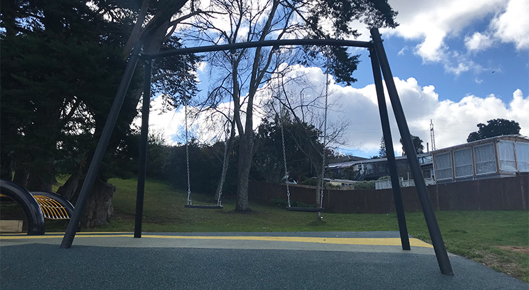 Marlborough Park - Set of two swings.