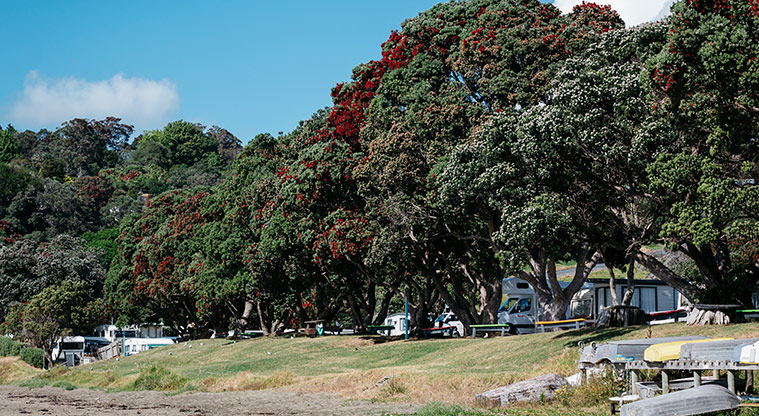 Martins Bay Holiday Park - Beach frontage.
